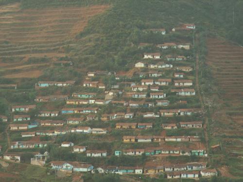 a birds view - a wonderful sigh ff the traditional indian pucca houces........a wonderful sight