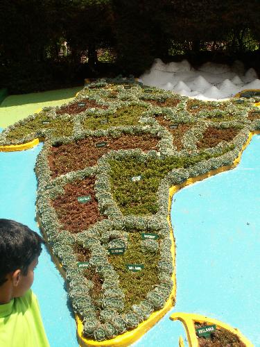 my country - hey heres the ikebana ff my country.....a relly diverse and beautiful,,,,,,,,,,really proud tu be an indian