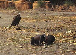 Photograph Taken by Kevin Carter - An Vulture is waiting to eat a innocent boy who is deprived of food,ready to die...