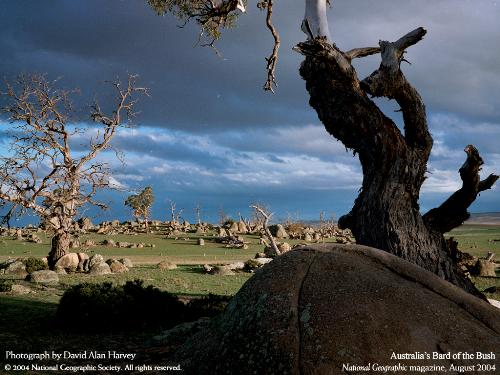 National Geographic Wallpapers - National Geographic Wallpapers