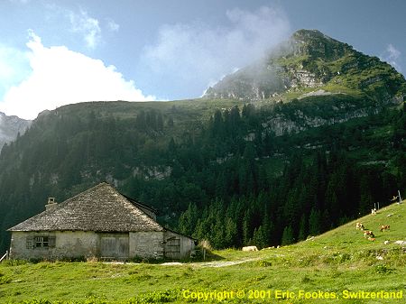 switzerland - The Dent-de-Jaman mountain overtowering a small farm house. This tooth-like mountain is 1825 meters above sea level and offers a spectacular view over lake Léman.