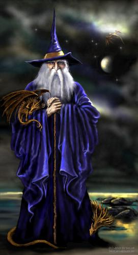 wizard - a wizard with golden dragons