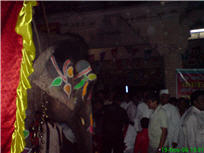 New 9 - My personal Photo No. 9