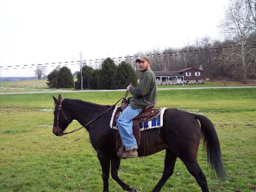 My horse - This is my horse Ringo and my husband Mike is riding him through our field!!