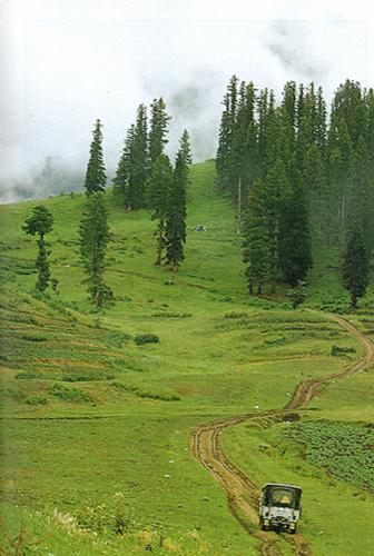 Kaghan valley Photo GalleryLalaZar - Kaghan valley Photo GalleryLalaZar