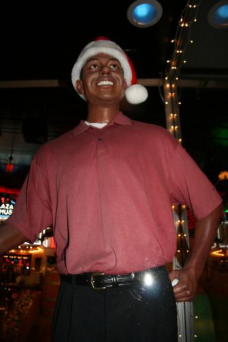 Tiger woods - This is at the wax Museum.