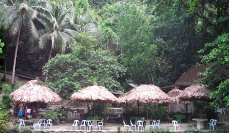 Forest huts - Forest huts. I stayed in one of these overnight