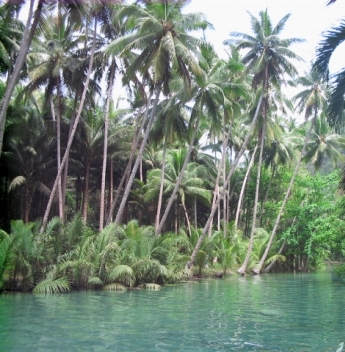 Lake - Lake