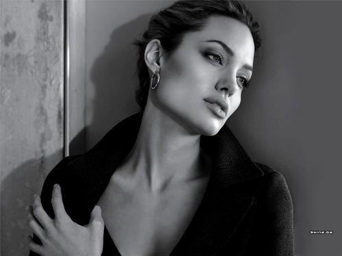 angelina joile - angelina joile
