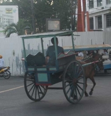 horse riding - Hore riding