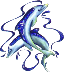 dolphins - i love dolphins.. do u?
