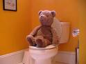 Potty training bear - Sgowing a fav doll trying to use the potty can help a child use the potty and not be scared.