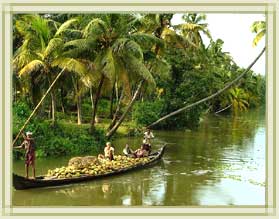 Kerala - The place is dotted with serene beaches, swaying palms, golden sands, shimmering backwaters and everuthing that you could possibly wish for. It's even been rated as one of the 50 must visit destinations on the planet. Does this sound like an magnification, then discover it yourself with a trip to Kerala.
