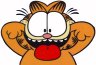 Garfield - Garfield