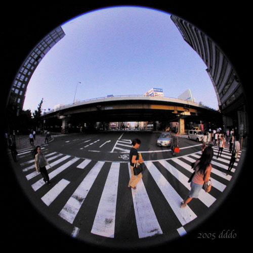 Zebra Crossing - Zebra Crossing