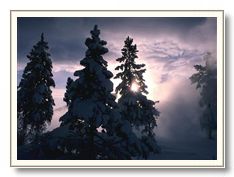winter - winter