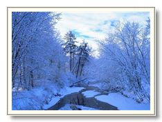 winter - winter