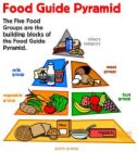 Food Pyramid - Food Pyramid