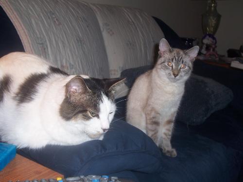 we're too cute - Joxer and Aurora