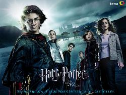 harry potter - harry