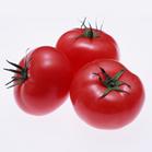 tomatoes - tomatoes