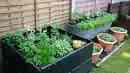 raised beds in gardening - an outdoor garden to grow veges, herbs and flowers for personal use and for sharing