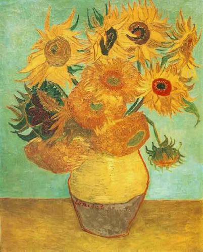 Sunflower - Sunflower