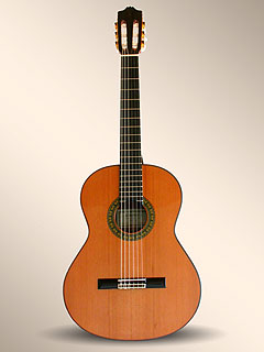 Guitar - Spanish Guitar