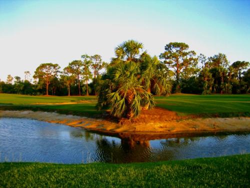 Slice of Heaven - My view that I woke up to every day of my vacation.  Beautiful!