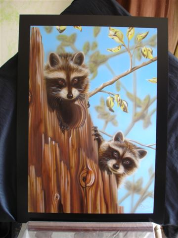 Racoon - Racoon