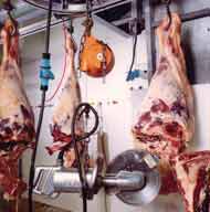 butchery - Animals
