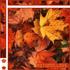 Autumn - Autumn