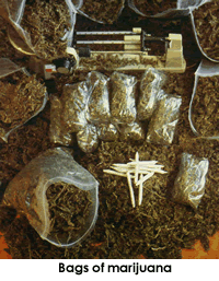 Bags of Marijuana - this is a picture of a marijuana