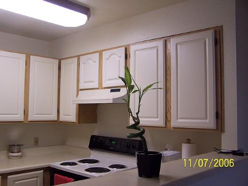 my kitchen - well well new kitchen set up