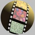 flim - flim reel