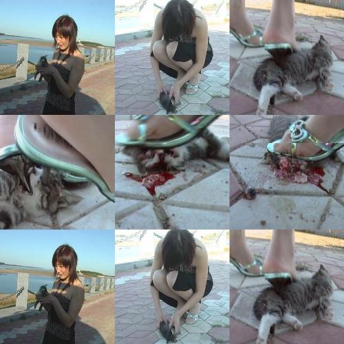 should we kill her? - this lady is going to kill the kitten