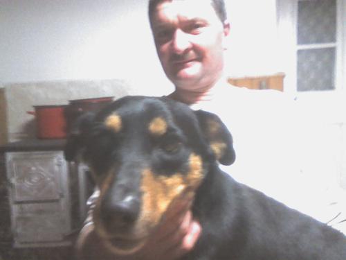 My pet.. - He is Morzsa.