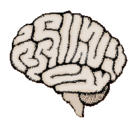 brain - brain