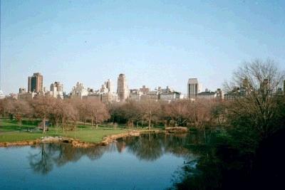 Central Park, New York City - This is a view of Central Park with buildings in the background. It was taken in December of 1999.