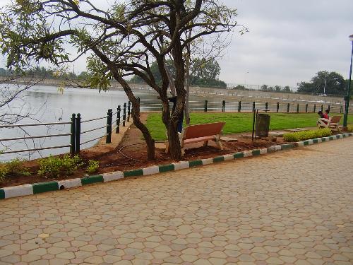 Another Lake in Bangalore-2 - Well this is lovely, and to think it was almost 9am on the day I took this phot, it was a cloudy and pleasant morning