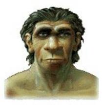 Early Man !! - Pre-historic??