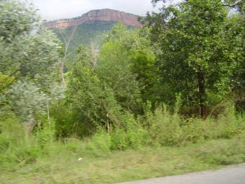 On the drive down from Tirupati -3 - Bushes, shrubs, trees, mountain in the backdrop, all shot by my 10 year old son on the drive back from Tirupati (in Andhra Pradesh) on November 01, 2006