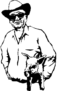 cowboy with pig - Looks like the time is about to be up for this pig - headed for the barbecue!