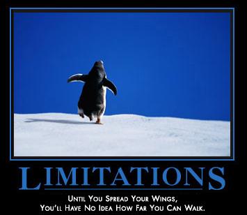 limitations - limitations