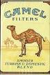 Camel Cigarette - Packet of camel cigarette.  