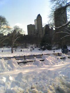 Central Park in the snow - This is a picture I took when I went to New York in February 2006. The day after a massive blizzard we took a carriage ride around a snowy Central Park. It was magical!