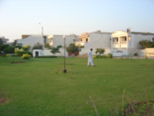 my lawn! - behind me is a beautiful lawn.....as u can see