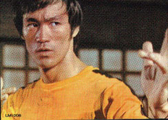 bruce lee - bruce lee