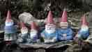 yard gnomes - quite a few of them and many people have these little yard art gnomes. yard gnomes - quite a few of them and many people have these little yard art gnomes.