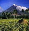 mayon volcano - volcano